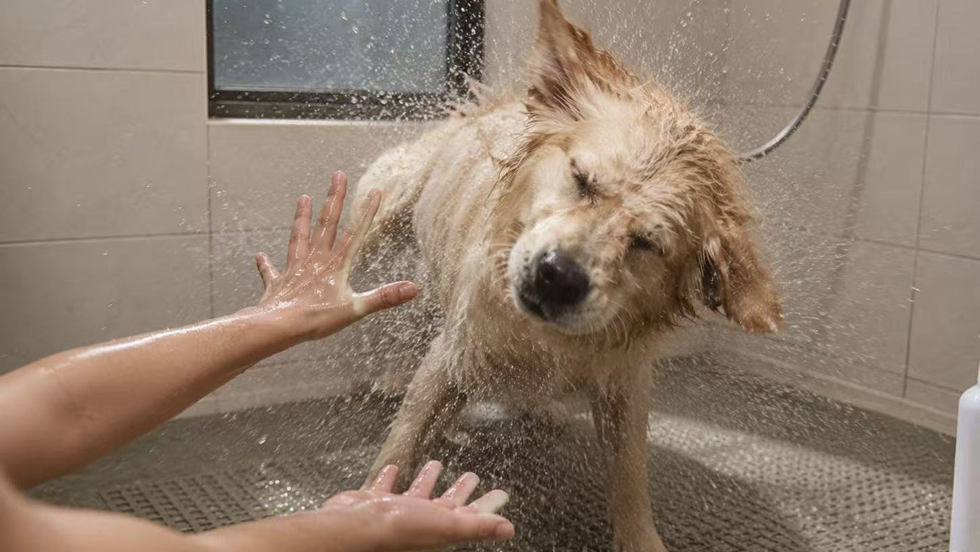 Bath Time Made Easy