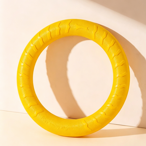 The Toy That Outlasts the Enthusiasm
