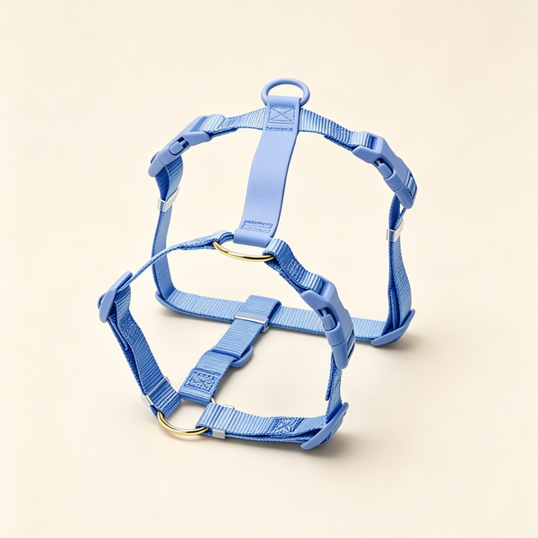 The Barely-There Harness