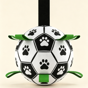 Glow in the Dark Dog Ball