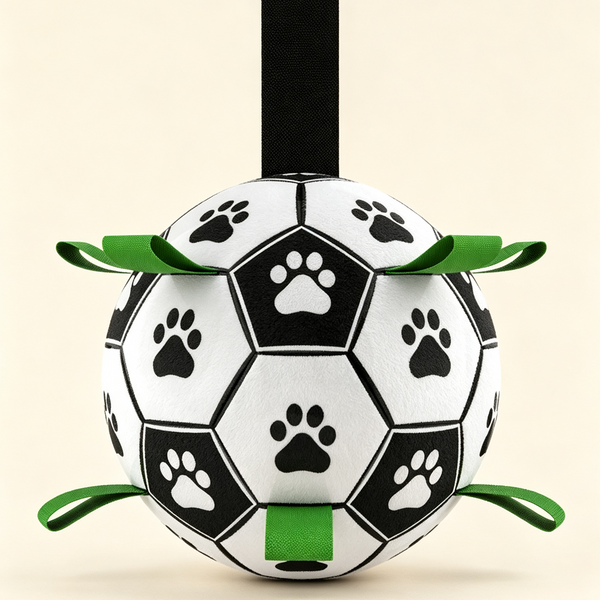 Glow in the Dark Dog Ball