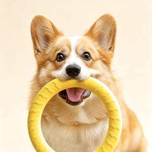 The Toy That Outlasts the Enthusiasm