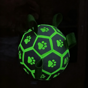 Glow in the Dark Dog Ball