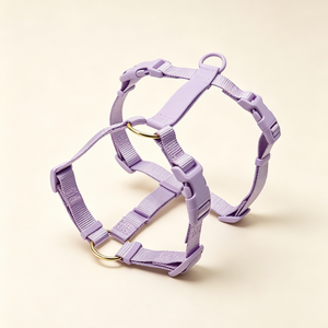 The Barely-There Harness