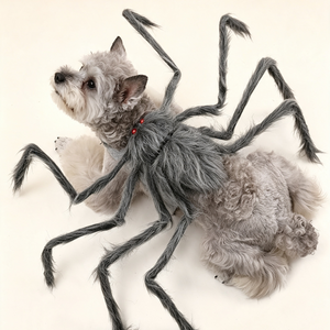 Eight Legs. Zero Fear.