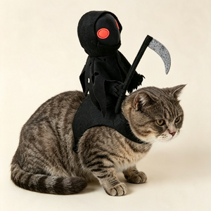 Her Noble Steed.