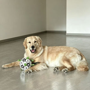 Glow in the Dark Dog Ball