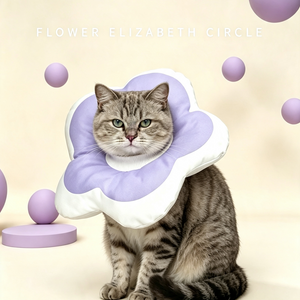 A Walking Flower