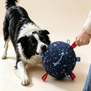 Chase. Tug. Repeat.