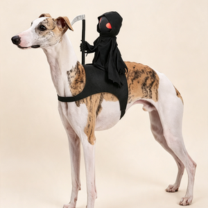 Her Noble Steed.