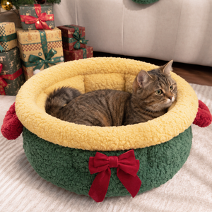 Wrapped Up In Christmas Cheer.