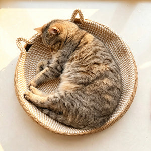 The Bed She Always Chooses