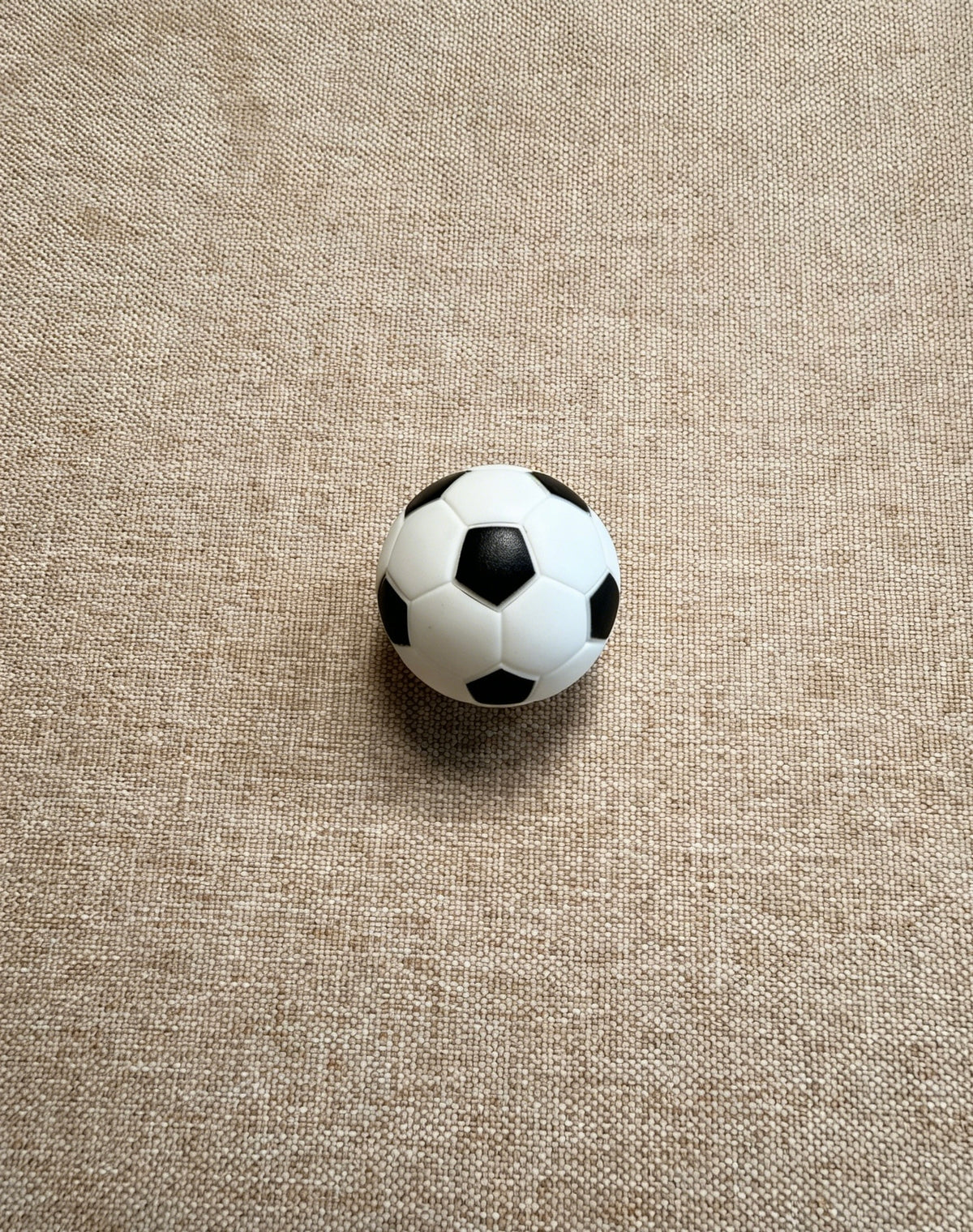 Game On. Paws Ready.