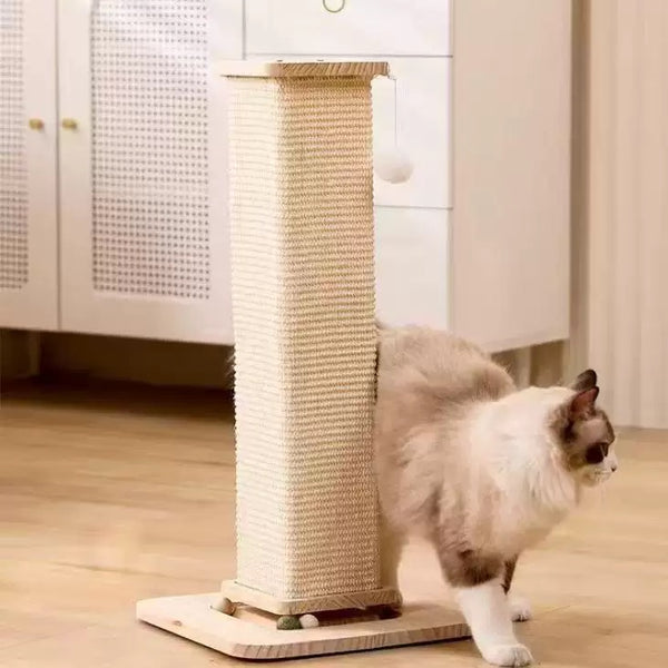 Cat Scratching Post