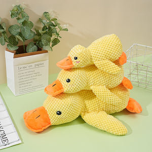 Quack. Squeak. Repeat.